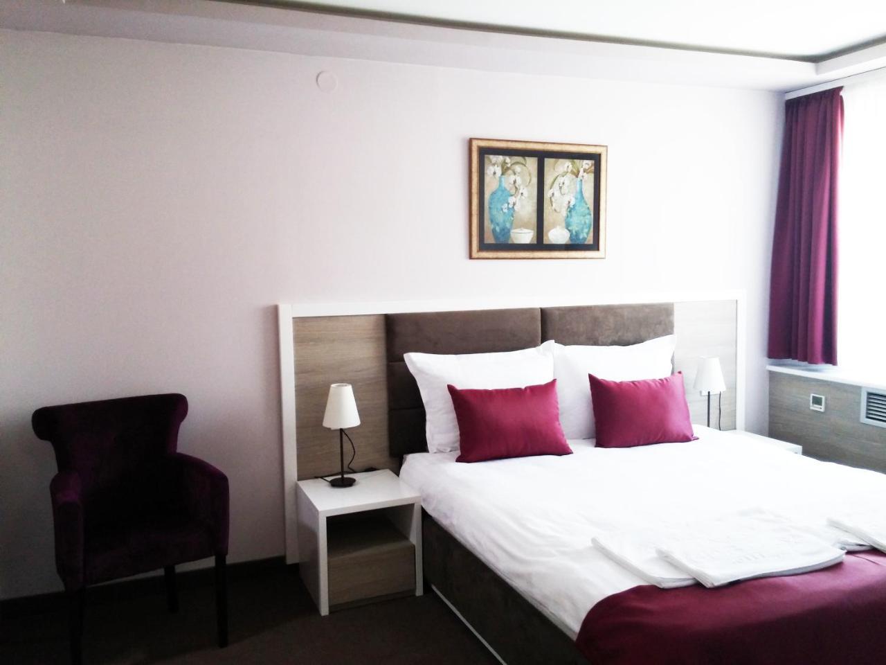 Hotel Ana Lux Spa Pirot Rom bilde
