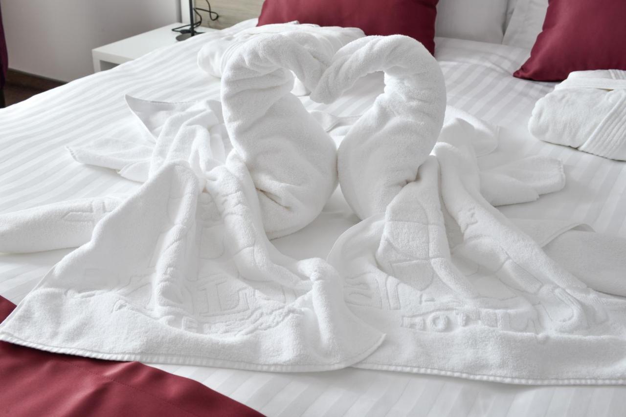 Hotel Ana Lux Spa Pirot Rom bilde